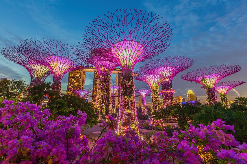 Singapore Holiday Picture